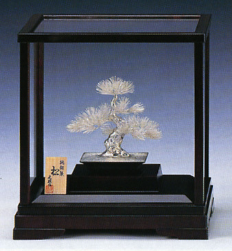 SV-15 盆栽 松